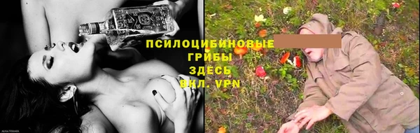 ALPHA-PVP Алексеевка
