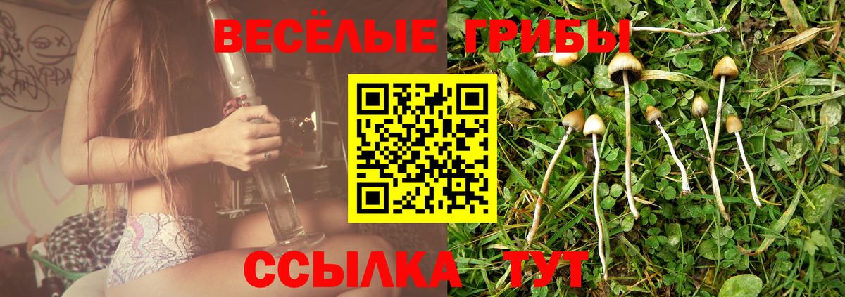 Галлюциногенные грибы Cubensis  цена   Урюпинск  Вход с VPN 