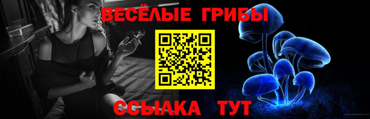 Галлюциногенные грибы Magic Shrooms Урюпинск